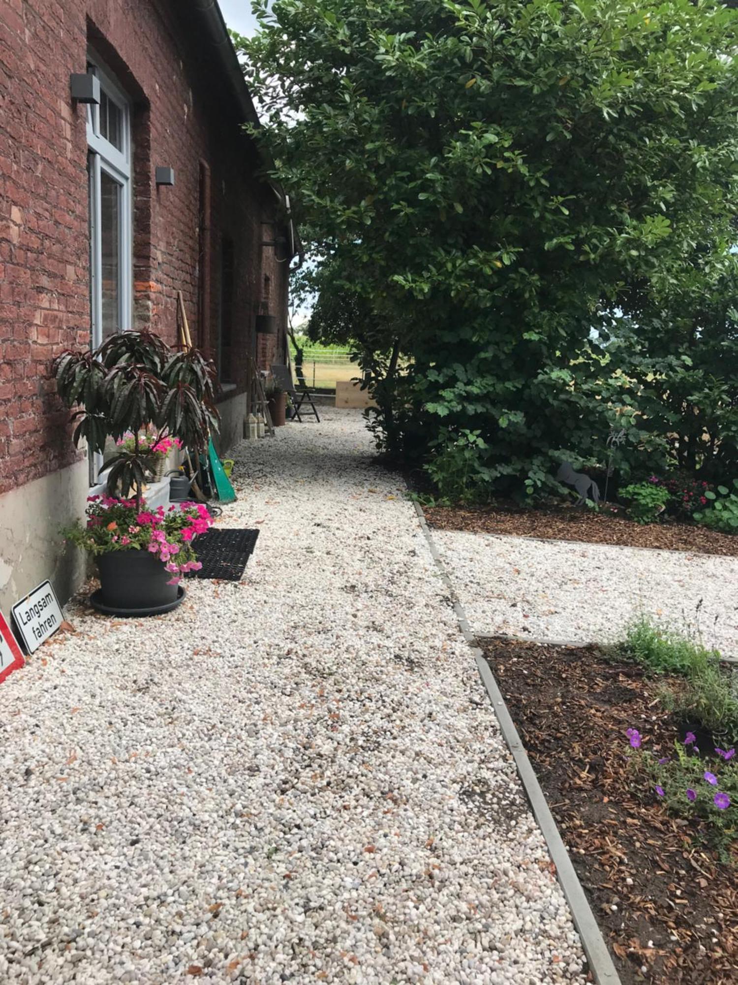 Ks Kotten Bed And Breakfast 里斯 外观 照片