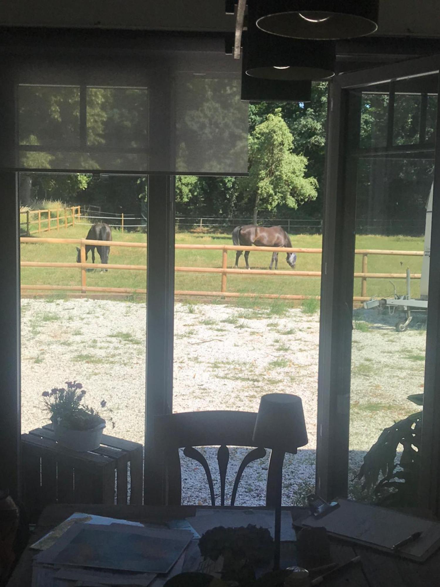 Ks Kotten Bed And Breakfast 里斯 外观 照片